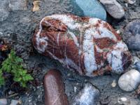 Dicke weiße Strukturen in rostrotem Stein